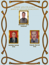 Şehit ve Gaziler Komisyonu