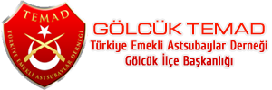 Temad Gölcük Başkanlığı