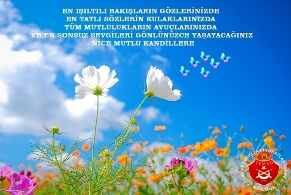 En ışıltılı bakışların gözlerinizde, en tatlı sözlerin kulaklarınızda, tüm mutlulukların avuçlarınızda ve en sonsuz sevgileri gönlünüzce yaşayacağınız nice mutlu kandillere.
